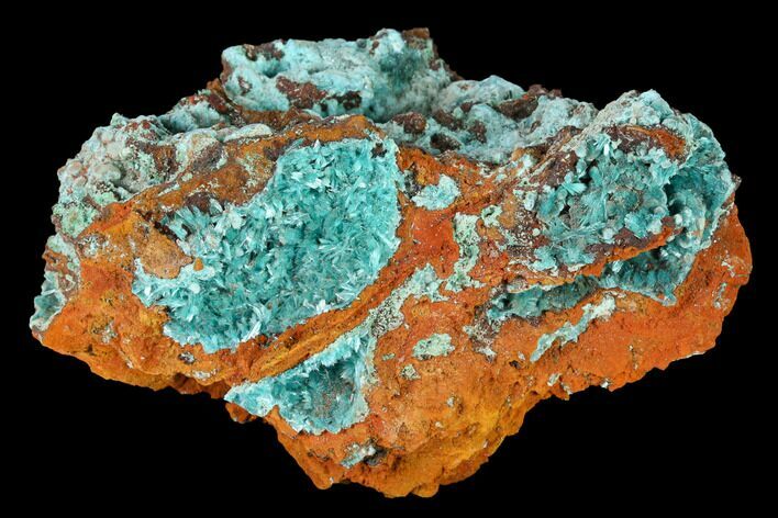 Fibrous Rosasite & Aurichalcite Crystal Association - Mexico #144579